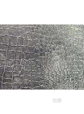 Pattern Paint Roller 10 inch Environmental Protection Stamp