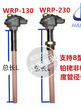 S型B型R型铂铑热电偶WRP-130/230耐高温刚玉管0-1600度温度传感器