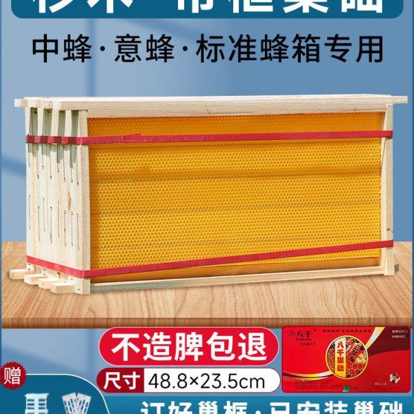 中蜂成品带框巢础杉木意蜂标准成品巢框一体巢脾框架全套养蜂工具,畜牧/养殖物资,养蜂巢础,淘宝优惠券,粉丝福利购,淘宝优惠卷