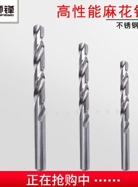 狮锋钻头12.01/12.02/12.03/12.04/12.05/12.06/12.07/12.08