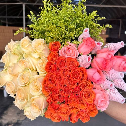 【520鲜花】香槟玫瑰10t枝+粉玫瑰10枝+多头玫瑰+配草云南基地直