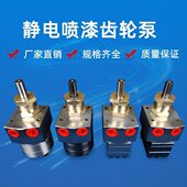 油漆齿轮泵 静电喷漆齿轮泵 油漆泵 涂料泵涂料齿轮泵齿轮计量泵