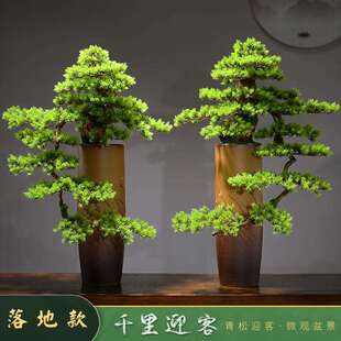 中式迎客松盆景摆件大型落地客厅玄关禅意根雕办公室造景软装饰品