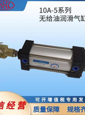 10A-5VFA63B150水泥厂能源钢厂除尘系统气缸活塞杆加长尺寸