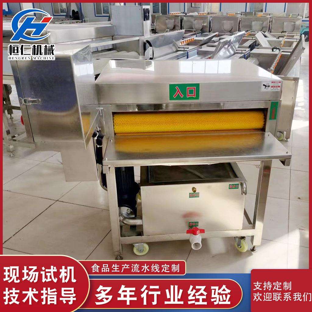 厂家供应商用粽叶双毛辊清洗机 全自动毛竹柊叶循环水清洗设备