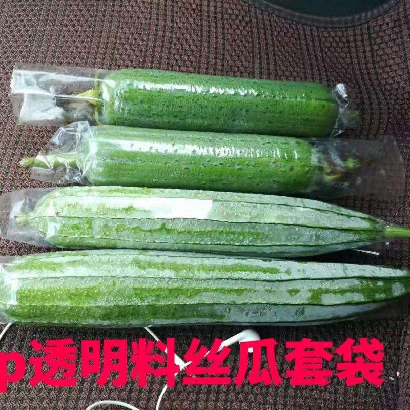 水瓜丝瓜苦瓜直通透明两头套袋平口塑料袋防水防虫防果蝇农用