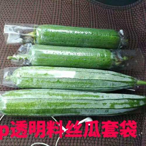 水瓜丝瓜苦瓜直通透明两头套袋平口塑料袋防水防虫防果蝇农用