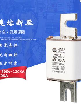 NGT2 RS33快速熔断器aR200A250A300A315A350A400熔芯A500V~120KA
