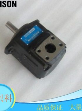 现货DENISON丹尼逊叶片泵T6E-066-1R00/1R01/1R02/1R03-B1