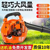 手提式 二冲程汽油吹雪机除尘器两冲程工地除尘清扫园林落叶鼓风机