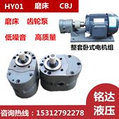 8X15 12X20 100X25齿轮油泵CBJ HY01 5X10机磨床70