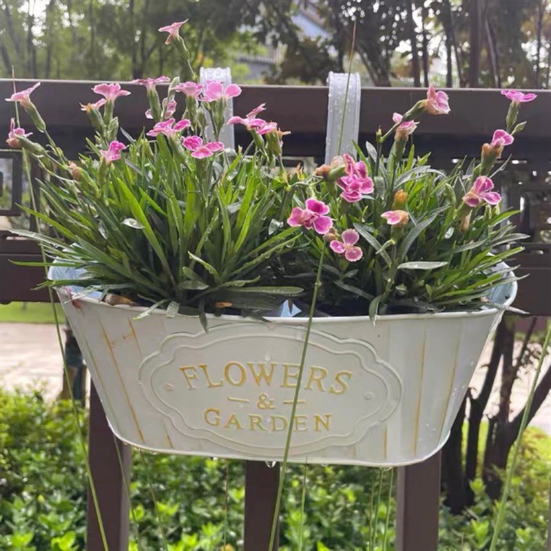 双挂钩花盆椭圆形满68尺寸30-20-12复古做旧质感塑料原料其他