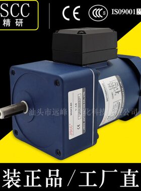 JSCC精研电机60YS06GV11X 60YS06DV11X 60YS06GV22X 60YS06DV22X