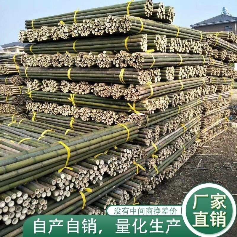 竹竿长竹杆2.5米3米3.8米竹竿粗竹竿毛竹跳舞搭架爬藤架旗杆竹子