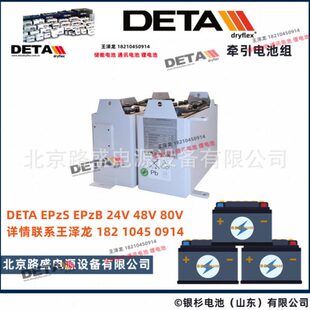 巡逻车电池4-D-140 电动汽车电池 8V170Ah 巡逻车 高尔夫球车电池