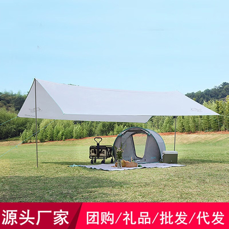 大迈(DAMO)户外郊游速开星际飞越天幕 DM-1009 量大从优 可代发