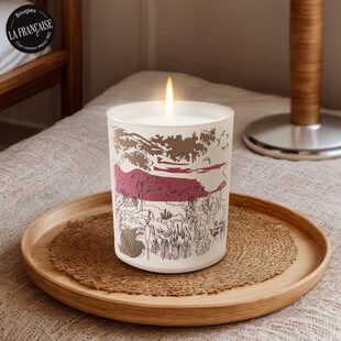 BLF香薰蜡烛卧室女生淡香室内家用持久房间高级氛围感摆件香氛