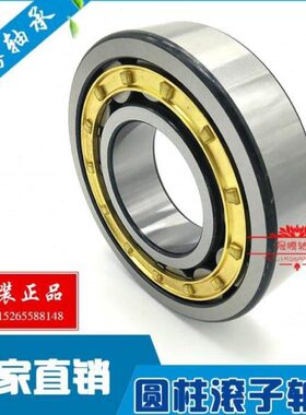 圆柱滚子轴承NJ2305 2306 2307 2308 2309 2310 2311 2312 2313EM