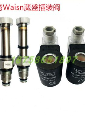 CSV-02-01 CSV-0201台湾崴盛WAISN插装阀电动阀CSV1601 CSV2001