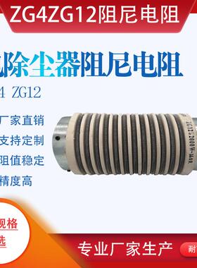 ZG4 ZG12电除尘器负载高压阻尼电阻500W750W800W1000W1500W2800W