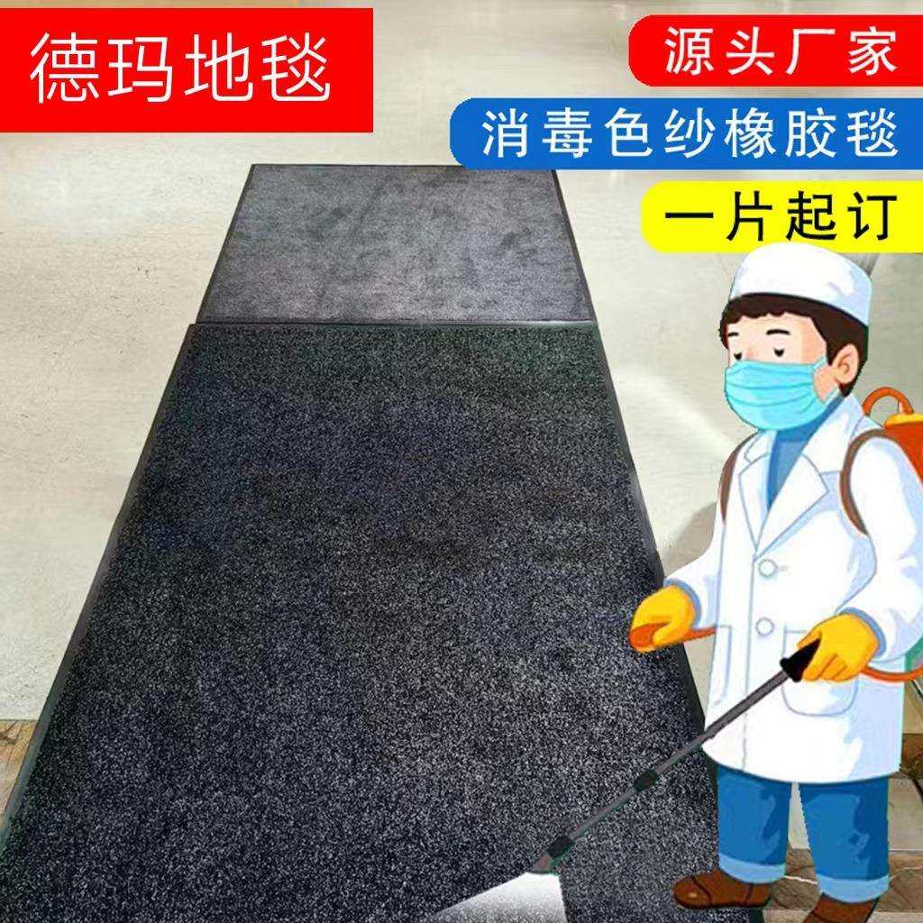 德玛地毯尼龙色纱橡胶地垫消毒垫除尘混色簇绒地毯成卷长条单片订