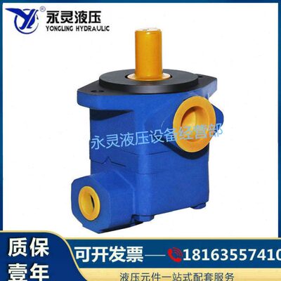 仙居永灵YLC变量叶片泵V10-1P1P V10-1P3P V10-1P4P V10-1P5P油泵
