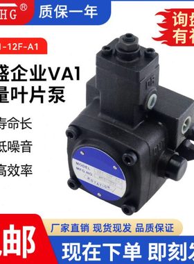 注塑机变量油压泵VA1-12F-A1/2/3 VB1-20F-A1/2/3 VC1-26F-A1/2/3