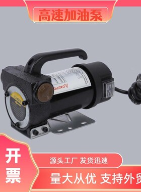 临沂12v24v22v电动油泵z正反转加油泵现货大功率柴油抽油泵