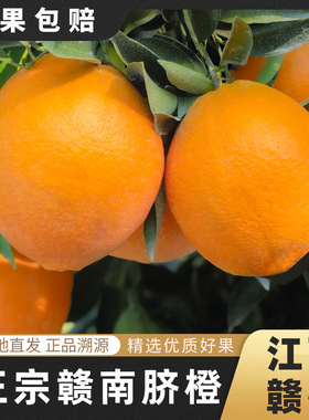正宗赣南脐橙江西赣州橙子新鲜大果现摘精品孕妇水果10斤20斤装