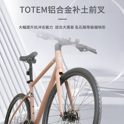 TOTEM图腾T2平把公路自行车