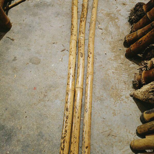 石竹洞箫料桂竹南箫料湘妃竹香妃花斑竹梅妃梅鹿竹笛子料箫材调直