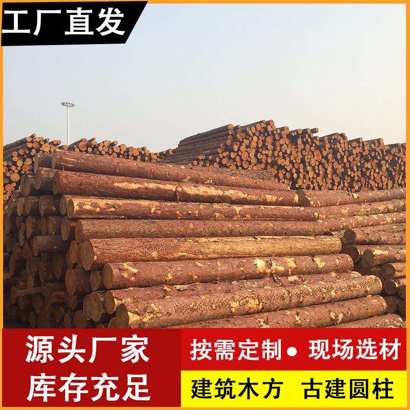 供应落叶松原木小杆工地河道防汛打桩木剥皮削尖防腐落叶松松木桩