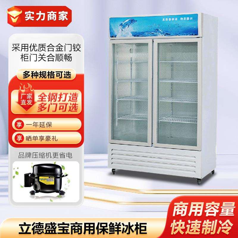 立德盛宝商用冰箱冰柜保鲜展示柜冷藏冰柜立式保鲜柜饮料柜啤酒柜