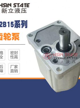 Boden齿轮泵BAP2B15D25C2L10-B/BAP2B15D20C2L10-B/BAP2B15D30C2