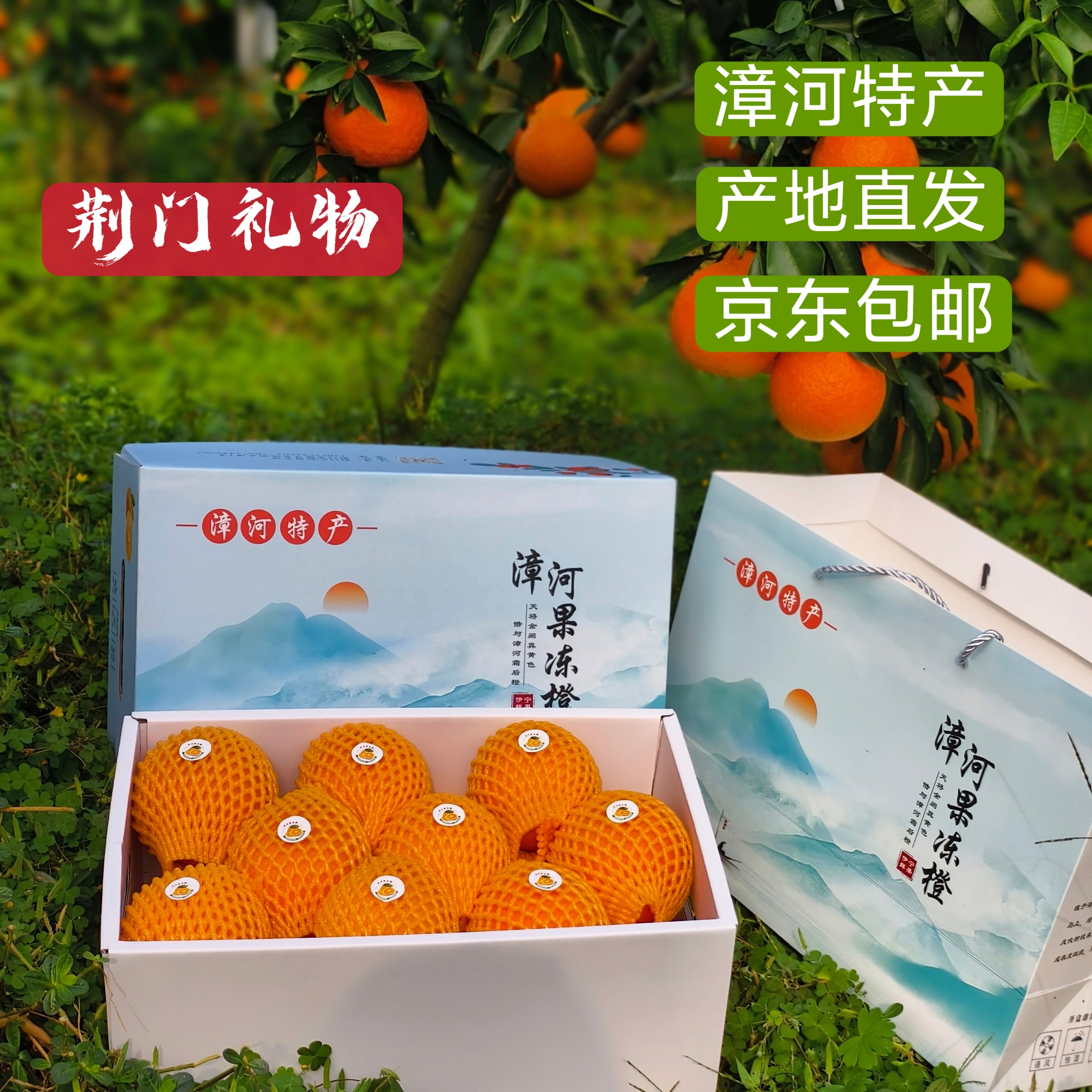 荆门特产漳河果冻橙李集岛果冻橙精品大果10斤礼盒装