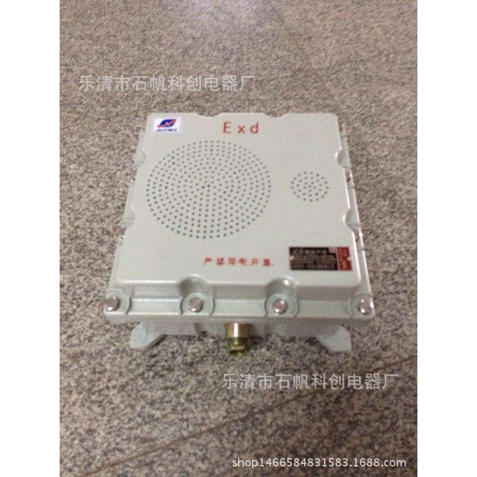 BHY-30W/100V防爆壁挂式音箱 防爆扬声器 壁挂式 30W 100v