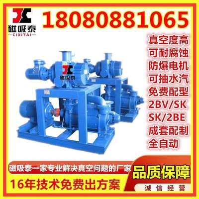 JZJ2B300-4.2.1真空机组ZJP300+70+30罗茨泵2BV5110水环真空系统