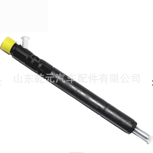 共轨喷油器总成 1100100XED95  28599713 长城哈弗H9风骏