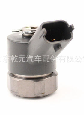 120系列电磁阀 F00RJ00395 共轨喷油器电磁阀