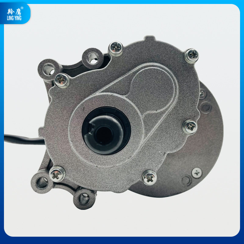 羚鹰MY1016Z永磁直流有刷二级减速电动车电机24V250W低速轮椅电机