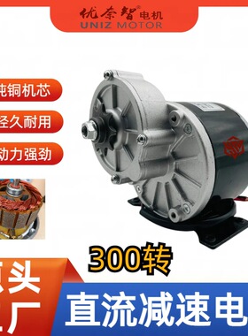 自行车改装电动车电机12V24V250W三轮车电机减速马达MY1016