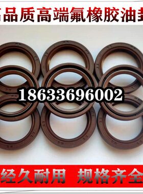 氟胶油封100X115X120X125X130X135X140X150X160X180X10X12X13X147