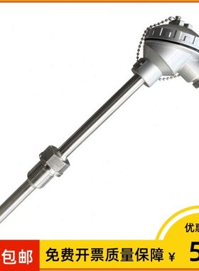 上海仪表 双支铠装热电阻 WZPK2-230 L=500*220mm 0-300℃ M27*2