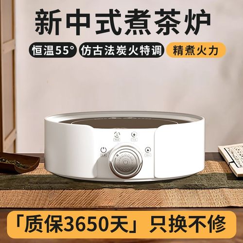 2025新d款电陶炉煮茶器围炉小茶炉迷你小型电热炉子玻璃茶壶摩卡