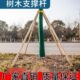 树木支撑架绿化支撑杆原木棍木架去皮松木大树防风防倒支架固定器