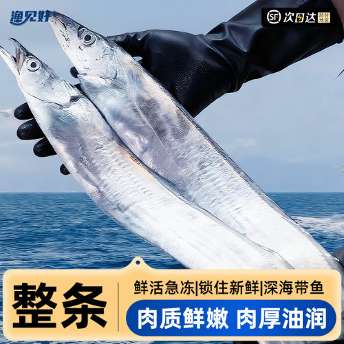 特大带鱼整条海鲜礼盒装