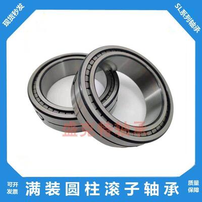 SL045004双列045005满装045006圆柱滚子轴承045007 045008 045009