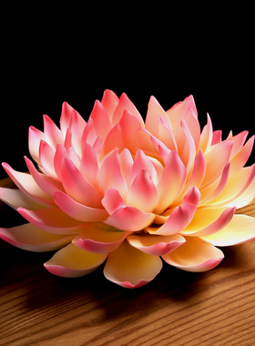 东方泥电 品瓷莲花摆件 手工工艺品家居客厅土视柜装饰陶 /帝王莲