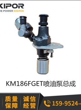 开普发电机配件 5KW静音 油泵 喷油泵总成 KDE6500T/T3 KDE6700T