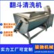 全自动涡流翻斗清洗机 海鲜鱼类倒料槽式 多功能洗菜机虾米清洗机